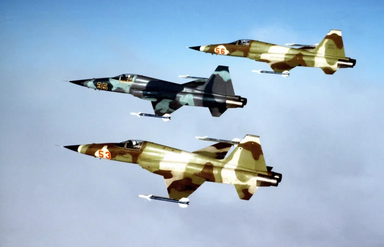 f-5-lehendarnyi-lehkyi-vynyshchuvach-shcho-poiednav-prostotu-shvydkist-ta-nepere-be10