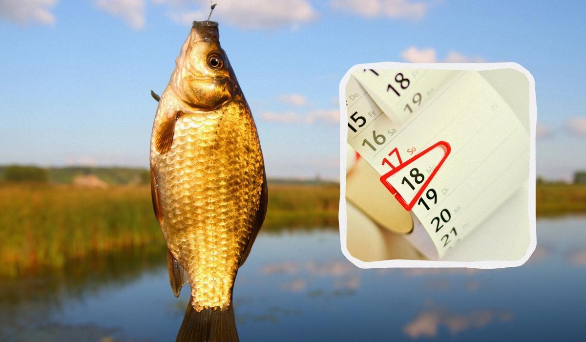 kalendar-klovu-ryby-vycherpnyi-hid-po-prohnozu-aktyvnosti-ryby-ae5a