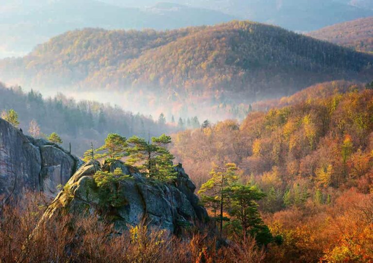 karpaty-voseny-zoloti-skhyly-spokii-hir-ta-iaskravi-vrazhennia-24e3