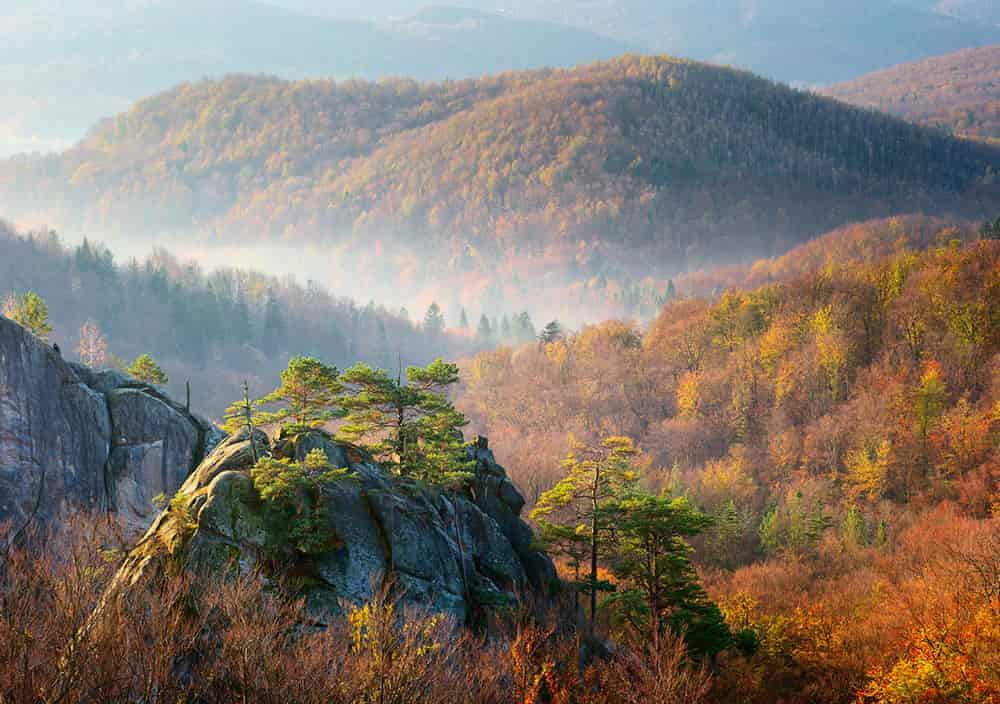 karpaty-voseny-zoloti-skhyly-spokii-hir-ta-iaskravi-vrazhennia-24e3