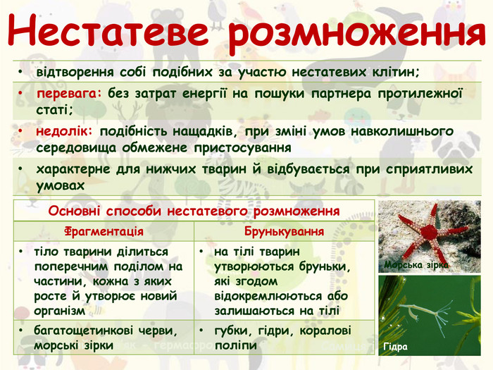 Переваги нестатевого розмноження