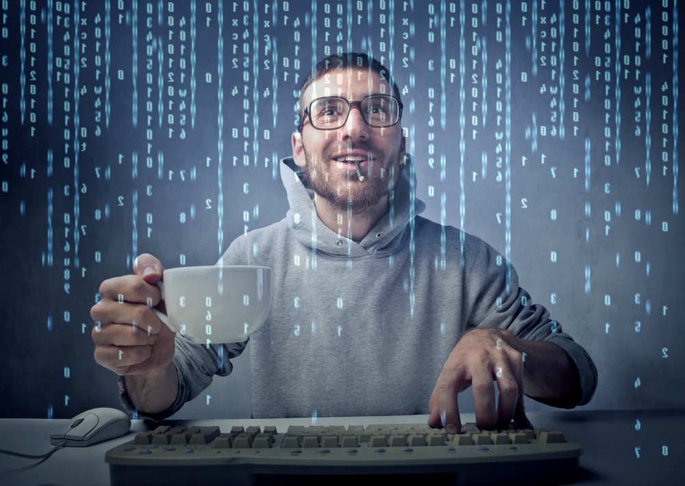 Programmer