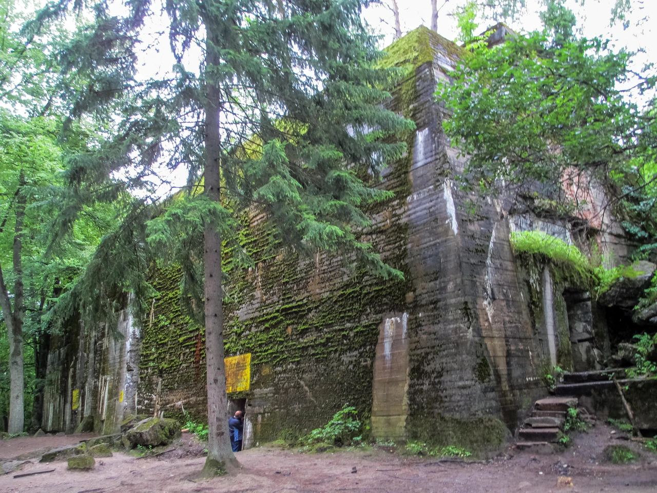 vovche-lihvo-betonne-sertse-natsystskoi-viiny-v-mazurskykh-netriakh-d13c