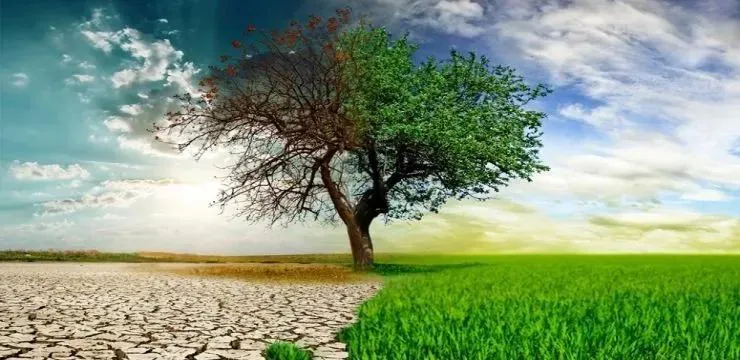 zmina-klimatu-prychyny-naslidky-ta-ukrainskyi-kontekst-u-2026-rotsi-8944