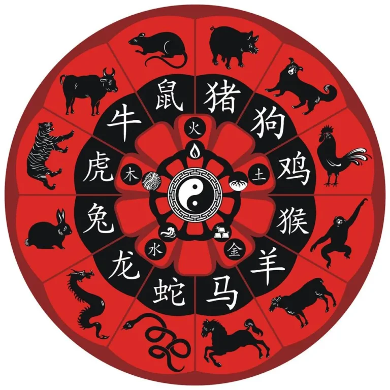 znaky-zodiaku-po-rokakh-povnyi-hid-z-kharakterystykamy-sumisnistiu-ta-praktychny-cced