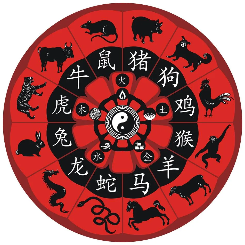 znaky-zodiaku-po-rokakh-povnyi-hid-z-kharakterystykamy-sumisnistiu-ta-praktychny-cced