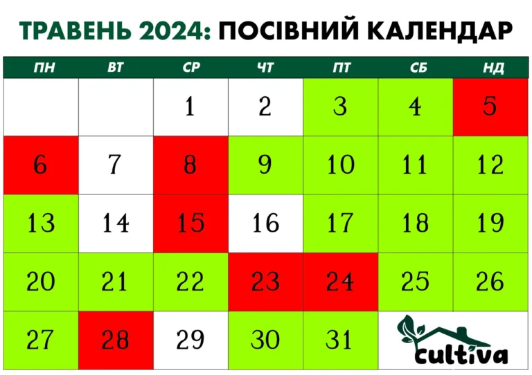 misiachnyi-kalendar-na-lystopad-2026-fazy-porady-ta-spryiatlyvi-dni-02b3