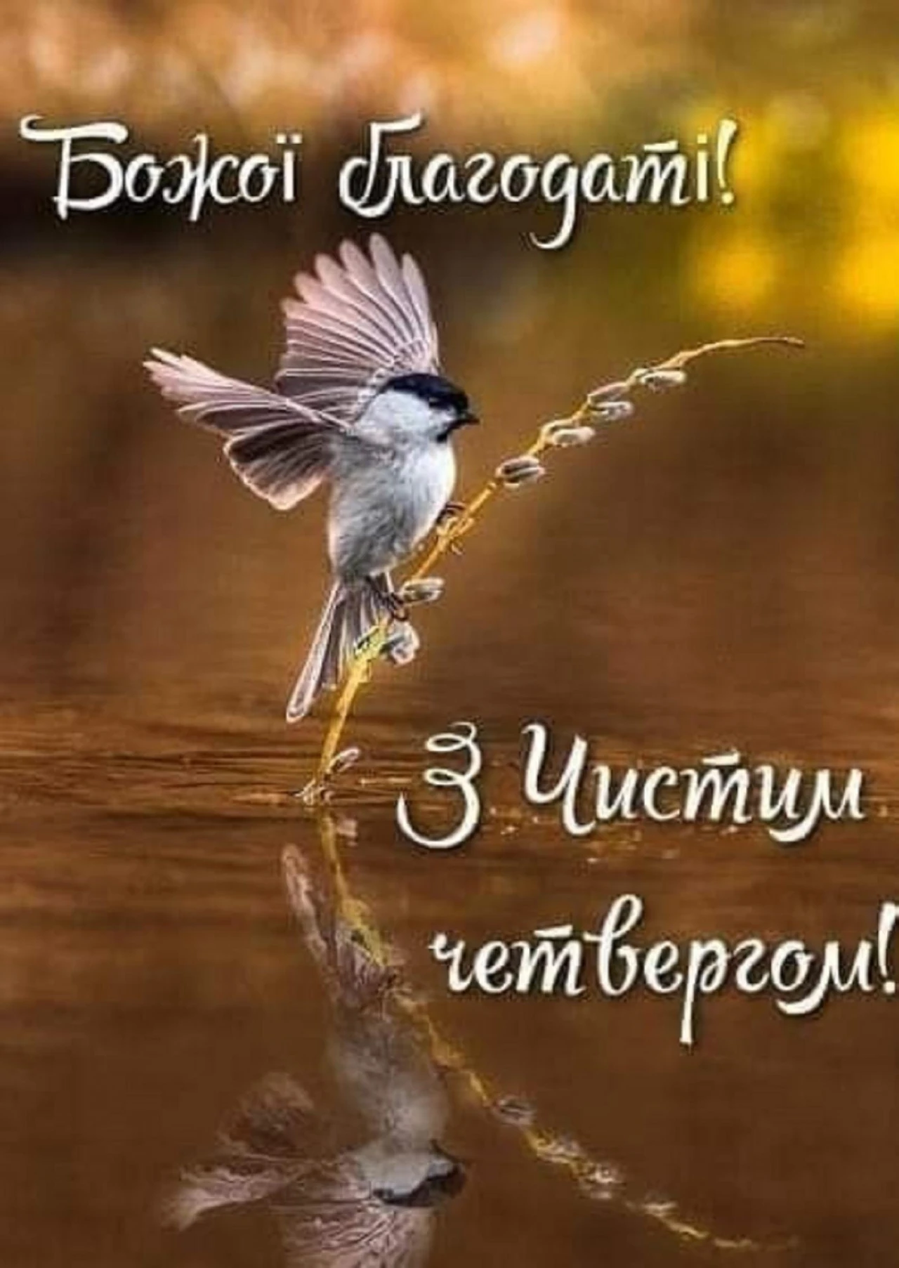 pryvitannia-z-chystym-chetverhom-shchyri-slova-tradytsii-ta-dukhovne-ochyshchenn-4ff0