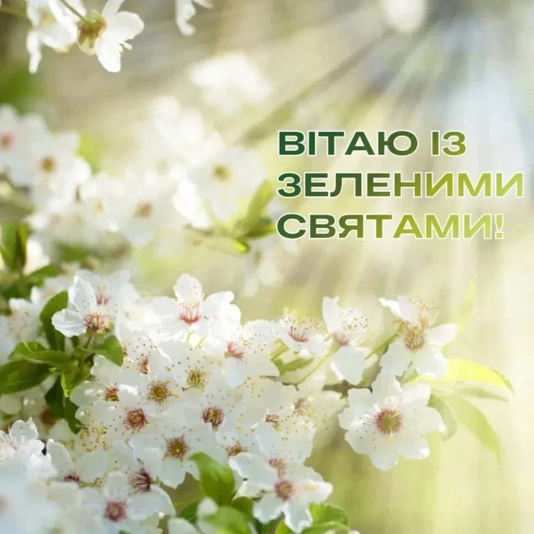 pryvitannia-z-zelenymy-sviatamy-shchyri-slova-tradytsii-ta-idei-e228