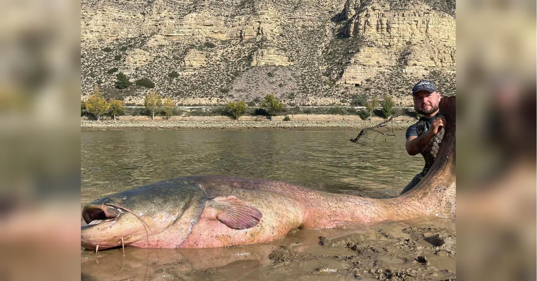 Венето дає 100 тисяч євро на вилов сома в Гарді